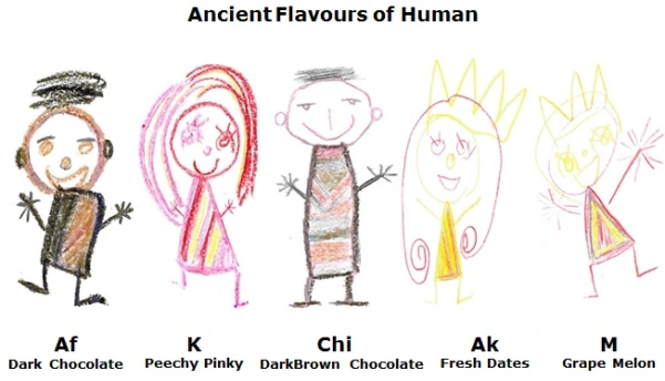 Human Flavours new